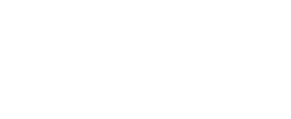 Raicam
